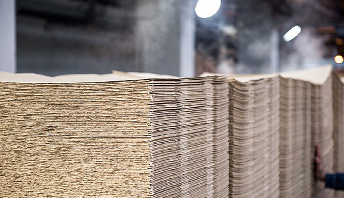 Projekt pulpy Shandong Rizhao