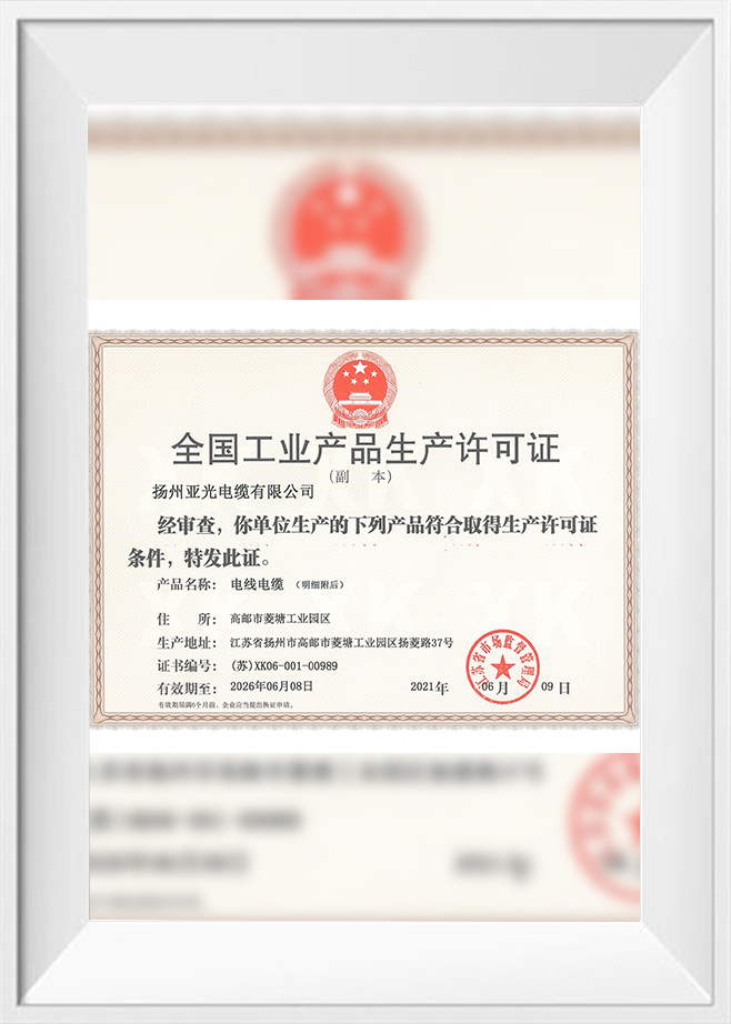 Licencja produkcyjna 2021